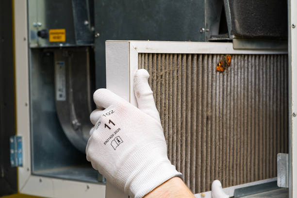 Best Air Duct Cleaning Near Me  in Nicholls, GA