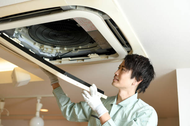 Best Ventilation Cleaning Services  in Nicholls, GA