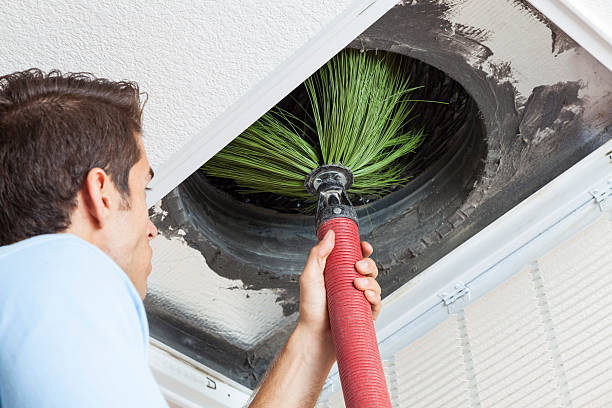 Best Affordable Duct Cleaning Services  in Nicholls, GA