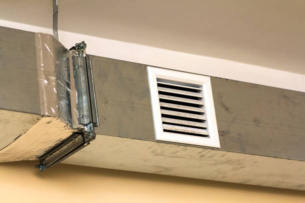 Best General Air Duct Cleaning  in Nicholls, GA